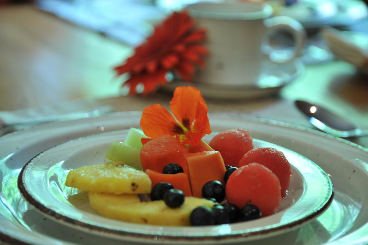 Claires Of Sandton Luxury Guest House Йоганнесбурґ Екстер'єр фото